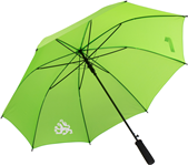 Deznik avtomastko odpiranje zelen